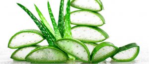 Aloe Vera este ingredientul perfect pentru pasta de dinți.